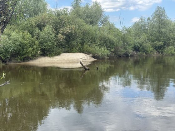 Продам 38 соток біля річки Любич у Літках — під базу відпочинку чи глемпінг,без % Летки