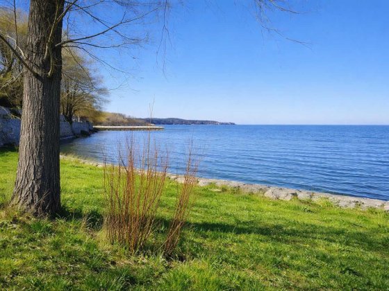 Лютіж, Вишгородський р-н, ділянка з виходом на водосховище, 40 соток. Лютеж