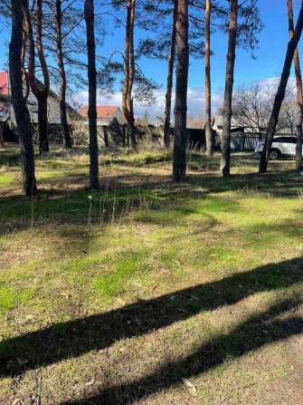 Лютіж. Від Власника. 43 сотки в лісі  Берег Київського Водосховища Вихід до води - фото 1