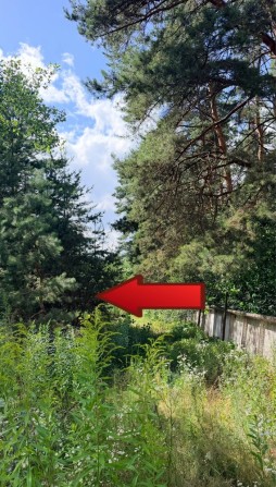 Продам земельну ділянку 6 соток, сосновий ліс, Малютянка - фото 1