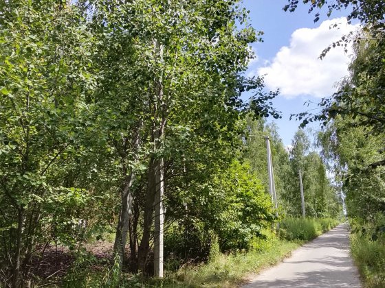 Продам ділянку під забудову с.Малютянка Малютянка