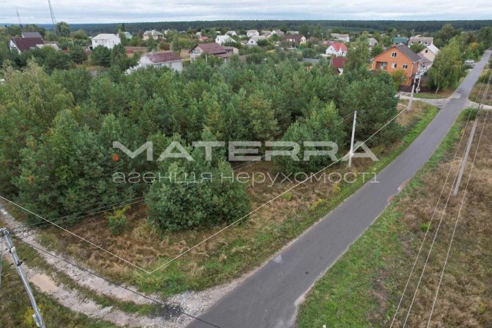 Малютянка - Глеваха Продаж ділянки зі світлом та соснами - фото 1