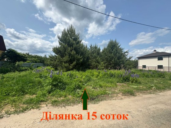 Малютянка 15 соток з соснами Продаж ділянки Еко зона Малютянка