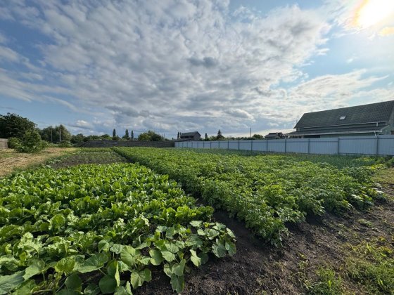 Земельна ділянка під забудову в центрі Микуличі