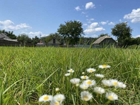 Продаж земельних ділянок 0,38 га Микуличі Микуличи