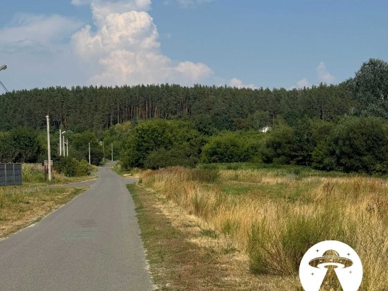 9,7 сотки біля соснового лісу | Михайлівка-Рубежівка | Електрика Михайлівка-Рубежівка
