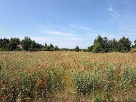 Продаж земельної ділянки в с. Мощун під забудову Мощун