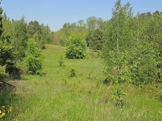 Продаю зем ділянку реабілітаційний центр база відпочинку Музычи