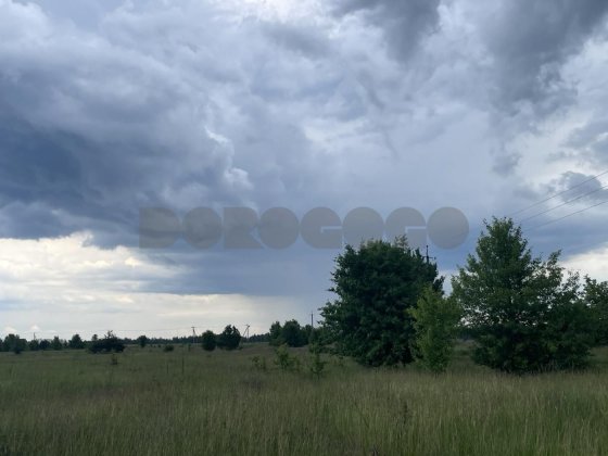 Продаж мальовничої ділянки 20 соток !! с. Музичі в 30 км від Києва Музычи