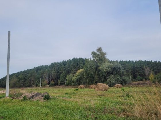 Земельна ділянка в продажу поруч озеро та ліс с. Михайлівка-Рубежівка Михайлівка-Рубежівка