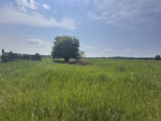 15 соток під забудову біля лісу та озера | Михайлівка-Рубежівка Михайлівка-Рубежівка