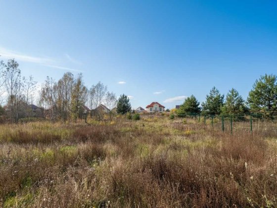 Земельна ділянка 45 соток біля ЛІСУ ‼️ Під котеджне містечко | Нове Нове