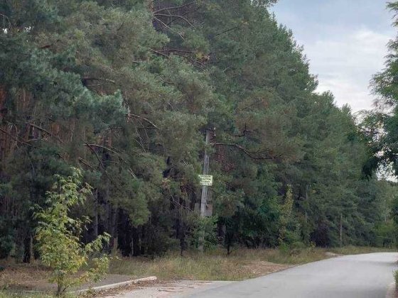 Продам гарну земельну ділянку с.Новосілки Новоселки
