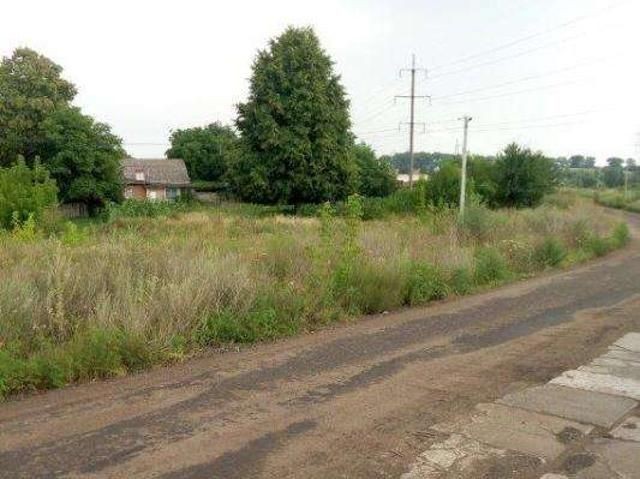 Продам фасадный участок 12 соток в селе Новом - фото 1
