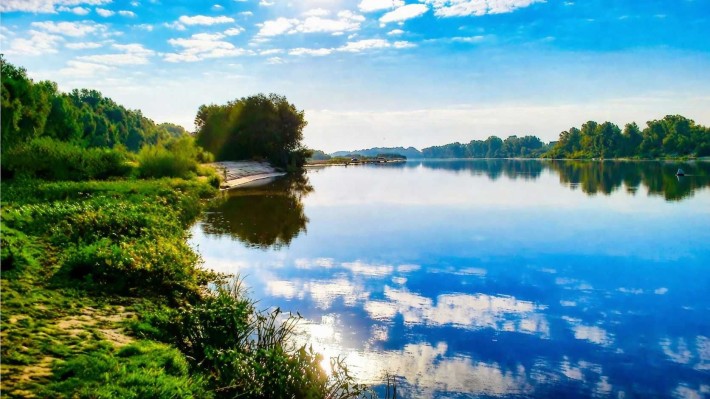 Вишгородський р-н, Новосілки, 50 соток-37 га під базу відпочинку, р.Десна. - фото 1
