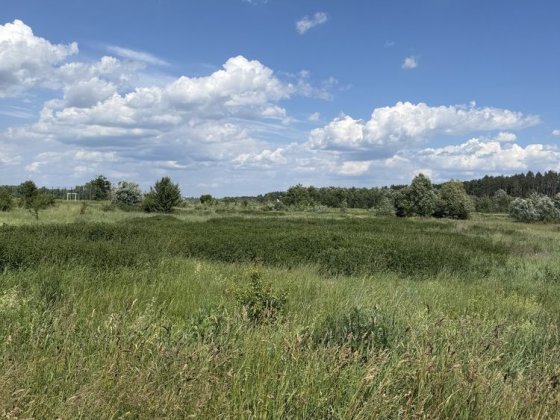 Земельна ділянка, гарна та зручна локація, поруч ліс та котеджне містечко! Михайлівка-Рубежівка