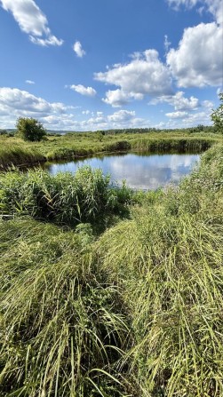Продаж ділянки 4,68 гв +9,66га , з озером , с. Нові Безрадичі - фото 1