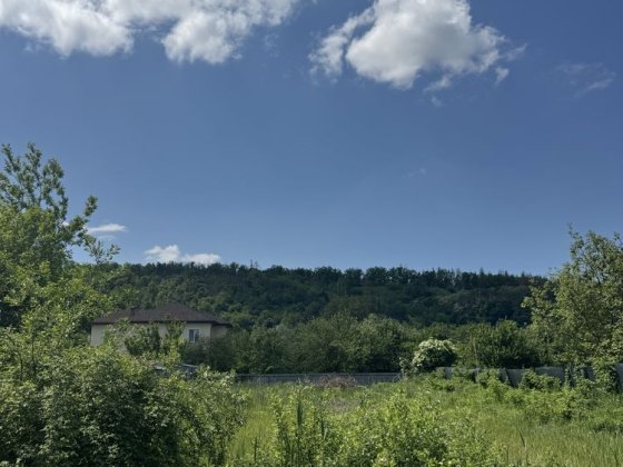 Участок Нові Безрадичі (торг) Нові Безрадичі