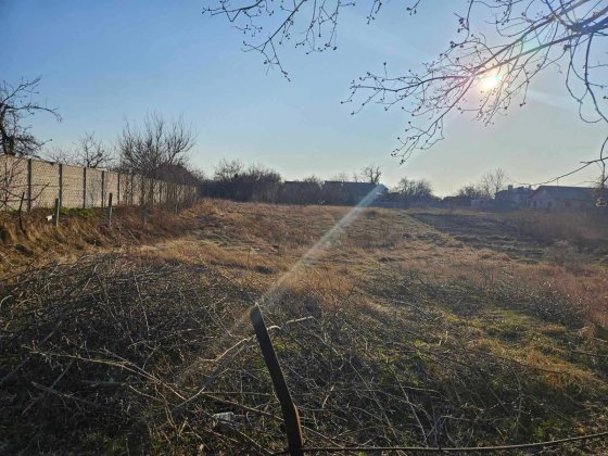 Продам земельну ділянку Осещина