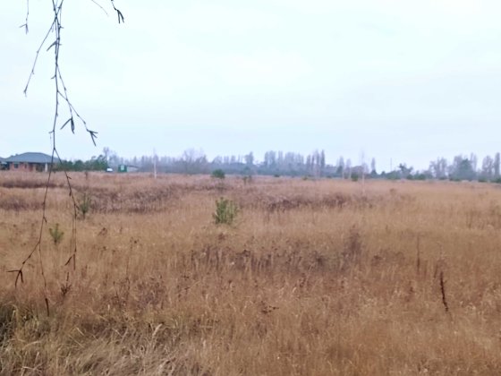 Земельна ділянка 3,0 га Петропавлівське