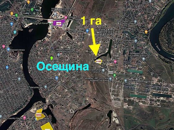 Ділянка з виходом на озеро! Перша лінія! Площа 1Га Осещина