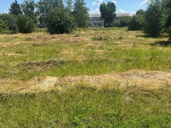 Ділянка с Петропавлівське центр поруч Гора Бориспільський рн Петропавловское