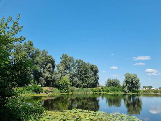 Продам 6 соток земли на 1 линии затоки р.Десна в с.Осещина,властник Осещина