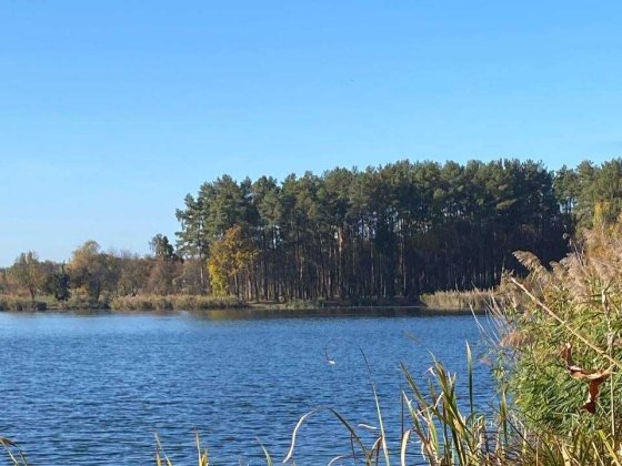 Ділянка поруч з мальовничим лісом та неподалік від Києва Петрушки