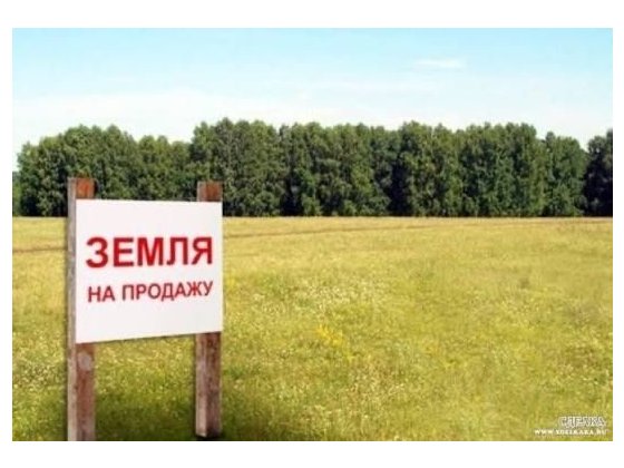 Продаж землі, Петрушки, 12Га в Київській області, під будівництво Петрушки
