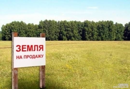 Продаж землі, Петрушки, 12Га в Київській області, під будівництво - фото 1