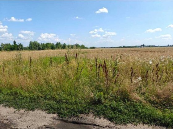 Продаж земельної ділянки с. Пилиповичі Пилиповичи