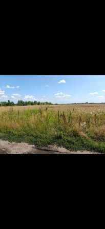 Продаж земельної ділянки с. Пилиповичі - фото 1
