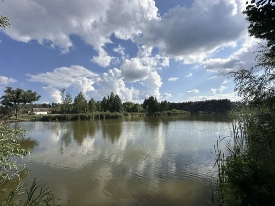 ПРОДАЖ ділянки під забудову!  В мальовничому місці с. ПЛЕСЕЦЬКЕ! Плесецкое