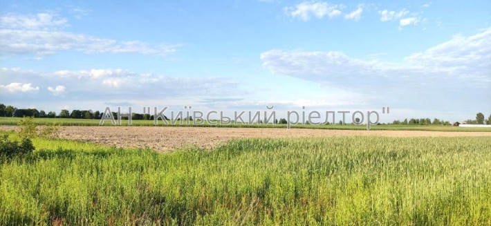 Без комісії! Продаж зем.ділянки 25 соток, с.Плесецьке Фастівський район - фото 1