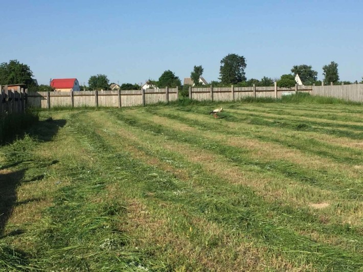 Продам земельну ділянку  неподалік Лісу! - фото 1