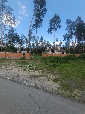 Ексклюзивна фасадна земельна ділянка 25 соток під комерцію, с. Плюти
Локація: Обухівський район, с.  - фото 1