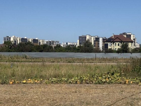 Продам  участок , 25 соток , под строительство ,Погребы , Киевская область Погребы