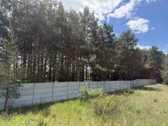 Продаж ділянки 11,5 соток серед лісу Проців Процев Процев