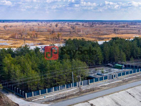 БЕЗ КОМІСІЇ! ДАМБА ПРОЦІВ-КИЙЛІВ | 24 сотки на березі Дніпра | Сосни на ділянці |, електрика є | 25  Проців