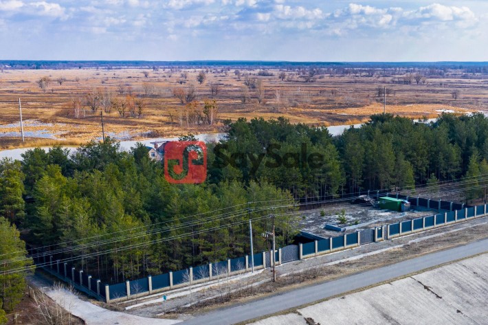 БЕЗ КОМІСІЇ! ДАМБА ПРОЦІВ-КИЙЛІВ | 24 сотки на березі Дніпра | Сосни на ділянці |, електрика є | 25  - фото 1