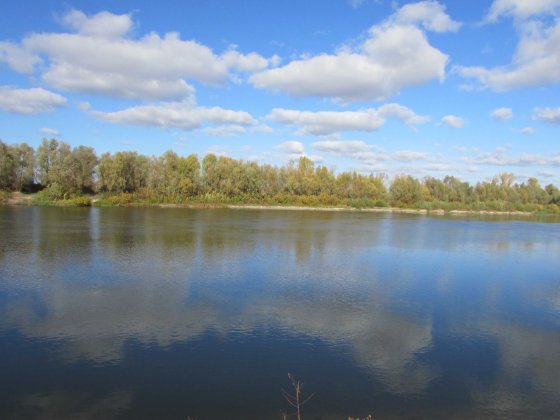 ПУХІВКА. Земельна ділянка 19 соток під забудову. Пухівка
