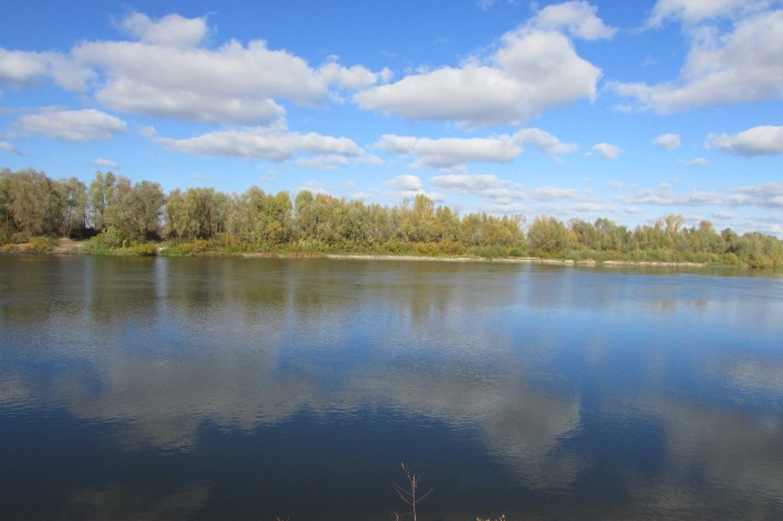 ПУХІВКА. Земельна ділянка 19 соток під забудову. - фото 1