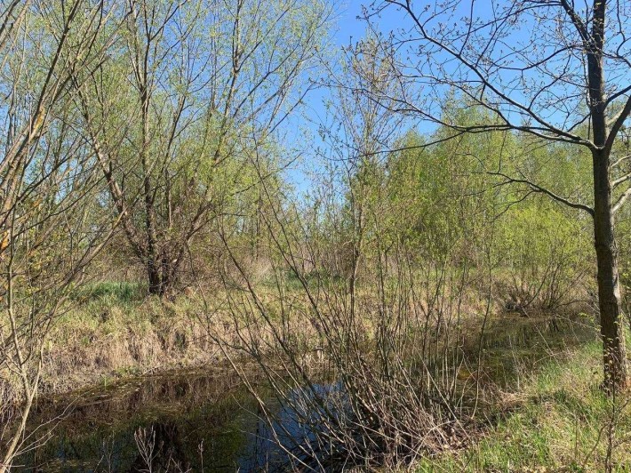 Продаж ділянки в Броварському районі, село Пухівка - фото 1