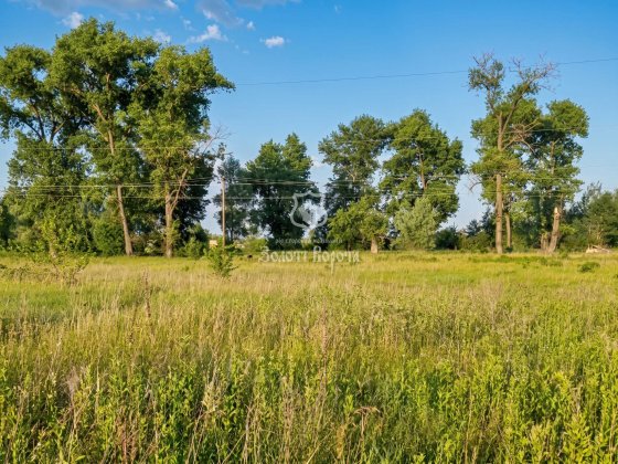 Ділянка, 15 соток. село Пухівка, Вербова, 2, Броварський район Пуховка