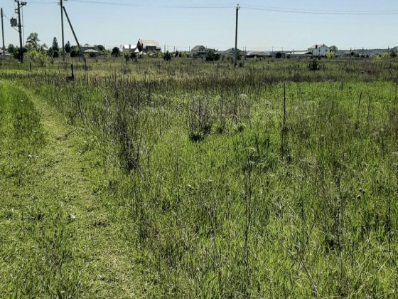 Пропонується земельна ділянка в с. Рожівка. Рожівка