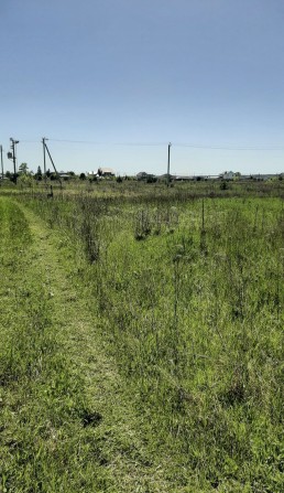 Пропонується земельна ділянка в с. Рожівка. - фото 1