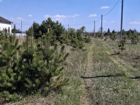 Продається зем. ділянка в с. Рожівка. Рожевка