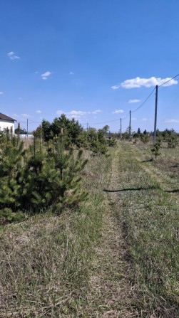 Продається зем. ділянка в с. Рожівка. - фото 1