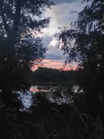 Продам ділянку в с. Рожни, Броварський район. 12 соток . Призначення: під забудову - фото 1