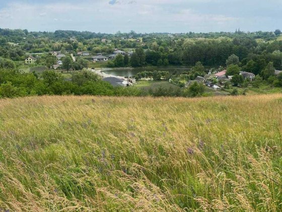 Продаж земельної ділянки 25 соток у с. Рославичі, Київська область Рославичи